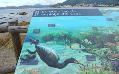 DISTINTIUS ESTRATEGIA MARITIMA DE CATALUNYA 2019-2020