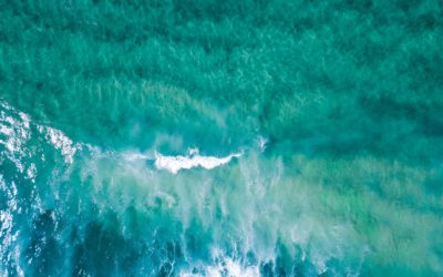 Inscripció a la Conferència UfM Blue Finance: Invertir en una economia blava sostenible a la Mediterrània, Barcelona – 22 de juny.